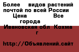 Более200 видов растений почтой по всей России › Цена ­ 100-500 - Все города  »    . Ивановская обл.,Кохма г.